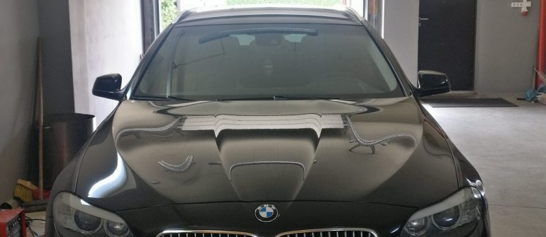 BMW 530D 3.0D  EGR išjungimas