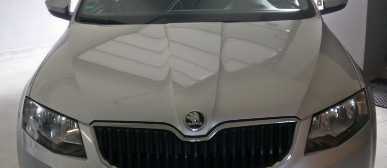 Skoda Octavia 2.0TDI DPF, Exhaust flap programavimas, galios didinimas