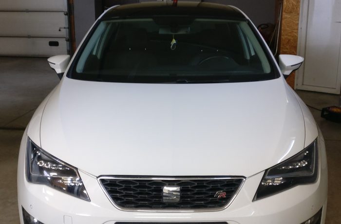 Seat Leon  2.0TDI EGR programavimas
