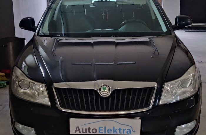 Skoda Octavia 2.0TDI 4×4  DPF, EGR programavimas, galios didinimas