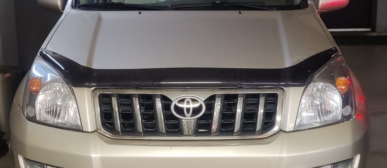 Toyota Land Cruiser 3.0D EGR programavimas