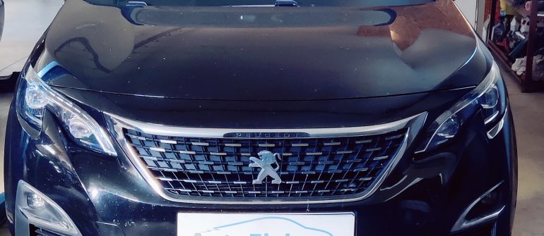 Peugeot 3008 1.5 BlueHDi  Adblue/SCR programavimas