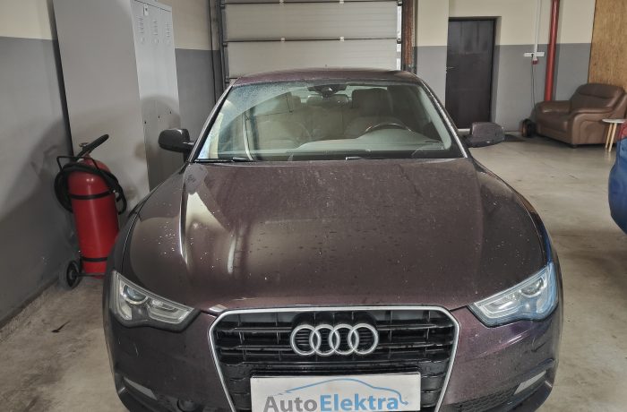 Audi A5 2.0TDI Adblue sistemos programavimas