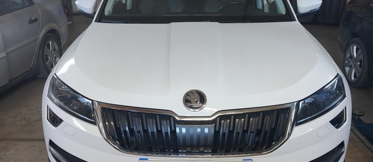 Skoda Karoq 2.0TDI DPF, EGR, Adblue programavimas