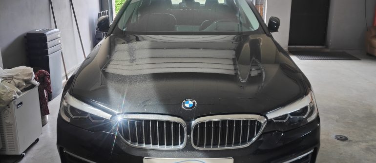 BMW 525 2.0D G30 Ablue/SCR sistemos programavimas