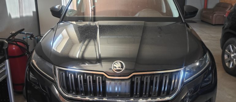 Skoda Kodiaq Adblue/SCR/Reductant sistemos perprogramavimas