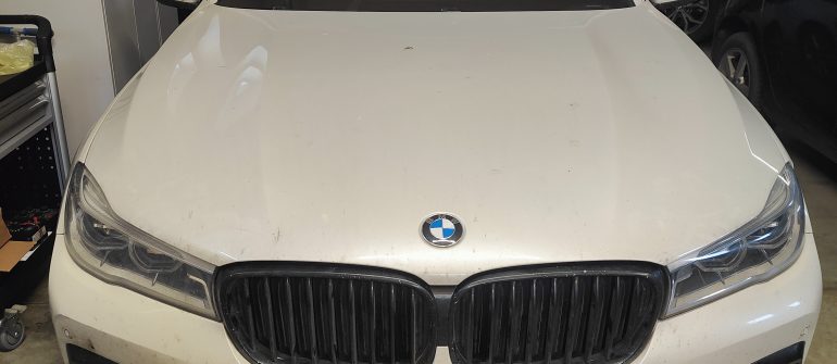 BMW 740i Variklio valdymo kompiuterio atnaujinimas, priekinių grotelių taisymas