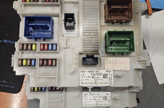 Ford BG9T-14A073-CH BCM programavimas