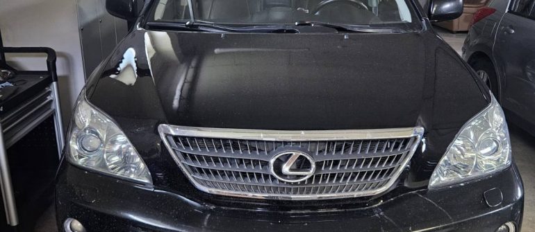 Lexus RX 400h Katalizatoriaus ir EVAP sistemos programavmias