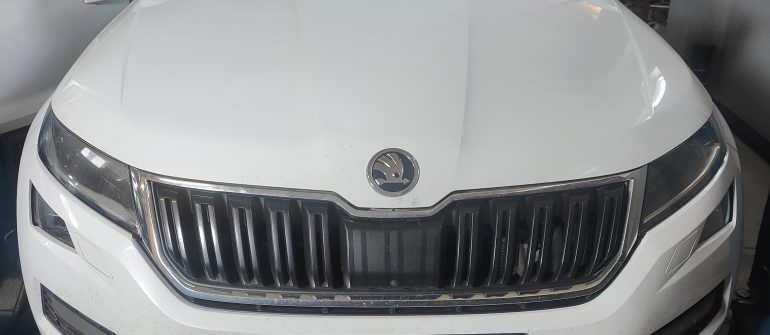 Skoda Kodiaq 2.0TDI  EGR vožtuvų programavimas